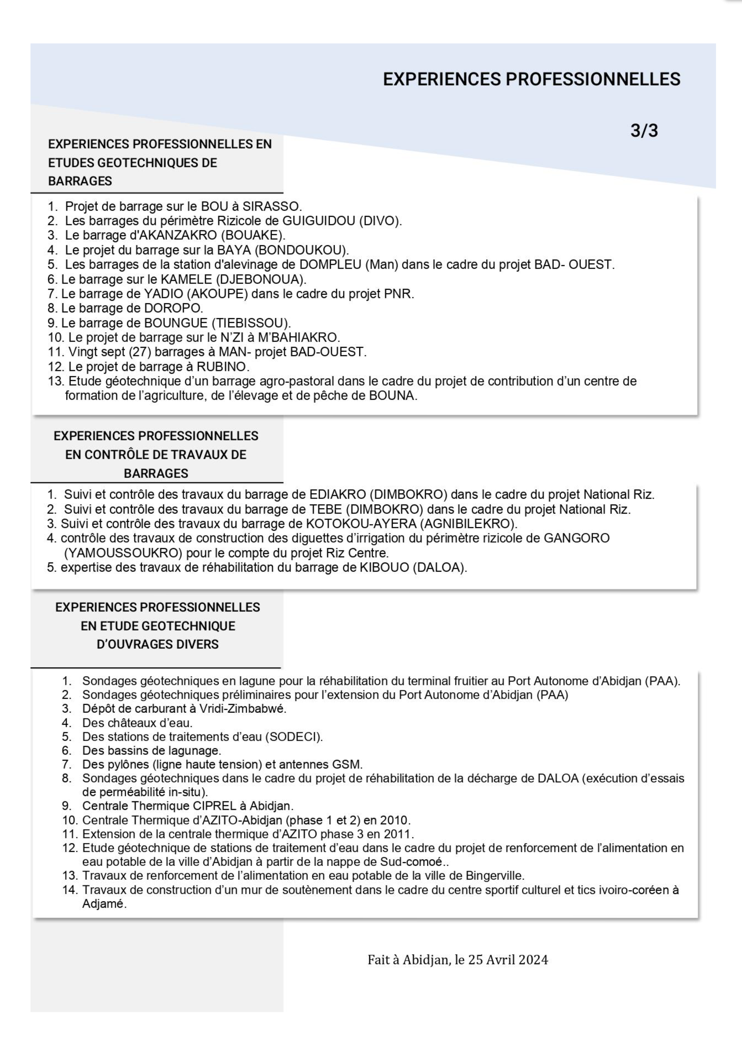 CV Directeur 3